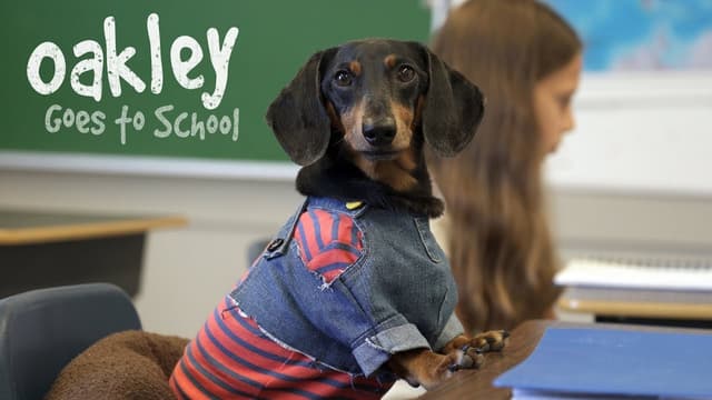 S01:E03 - Back to School With Crusoe