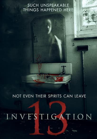 Investigation 13