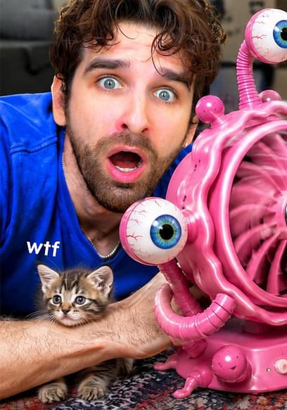 S03:E10 - Testing Cursed Gadgets on My Kittens poster