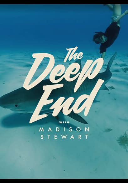 The Deep End poster