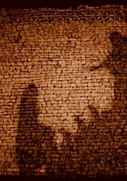 S01:E08 - Africa - a History Denied poster