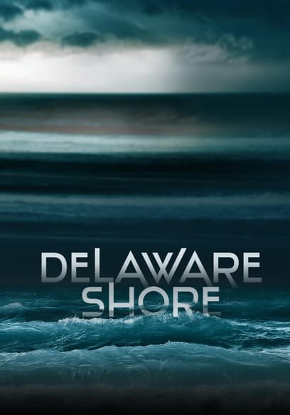 Delaware Shore