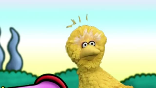 S35:E08 - Rocco's New Dance