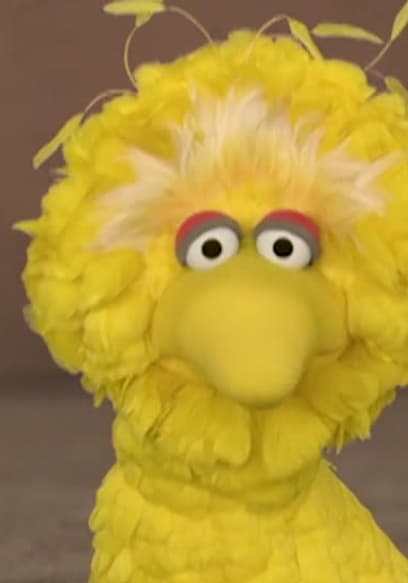 S36:E25 - Adventures of Little Big Bird, Part 1 poster