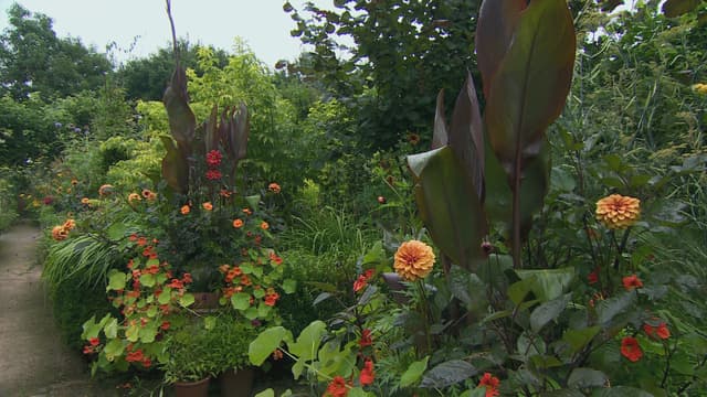 S07:E19 - Episode 19