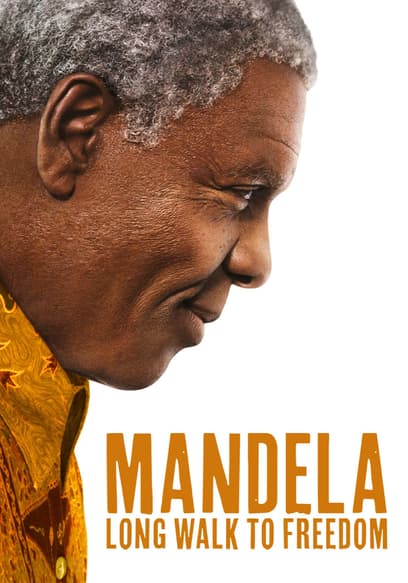 Mandela: Long Walk to Freedom poster