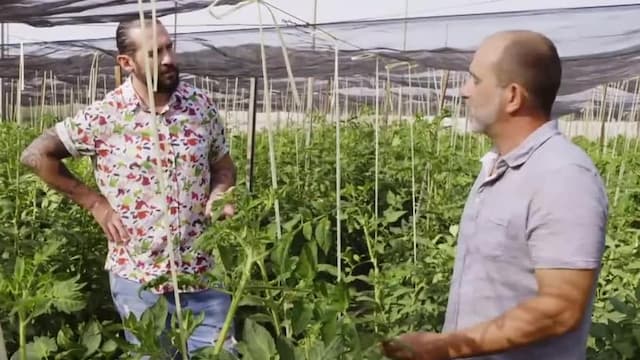 S01:E09 - El tomate del Perelló