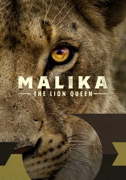 Malika the Lion Queen poster