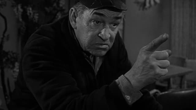 S05:E33 - The Brain Center at Whipple's