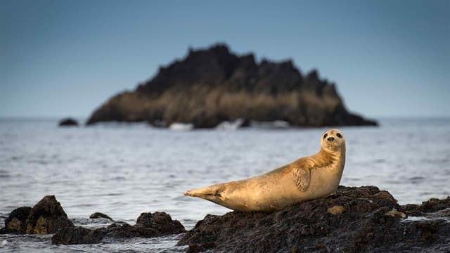 S01:E01 - The Wilds of Winter