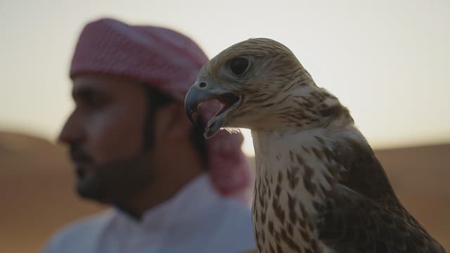 S01:E08 - Qasr Al Sarab (United Arab Emirates)