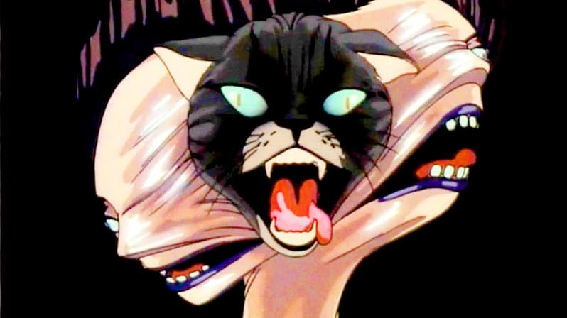 Watch Lily C.A.T. (1986) - Free Movies | Tubi