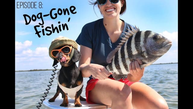 S01:E14 - Dog-Gone Fishin' and More