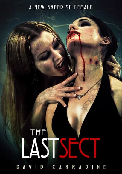 The Last Sect