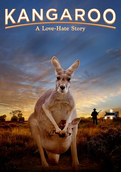 Kangaroo: A Love-Hate Story