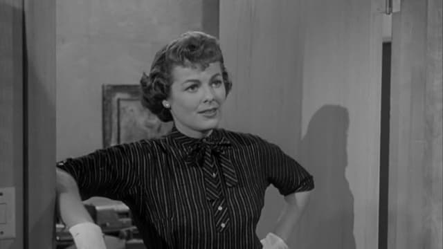 S01:E16 - The Case of the Demure Defendant