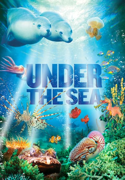 Under the Sea