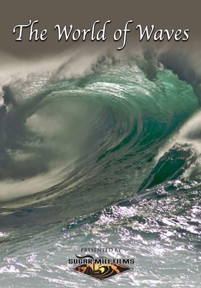 The World of Waves
