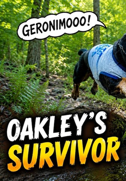 S01:E02 - Dog Survival Show and Construction Dogs poster