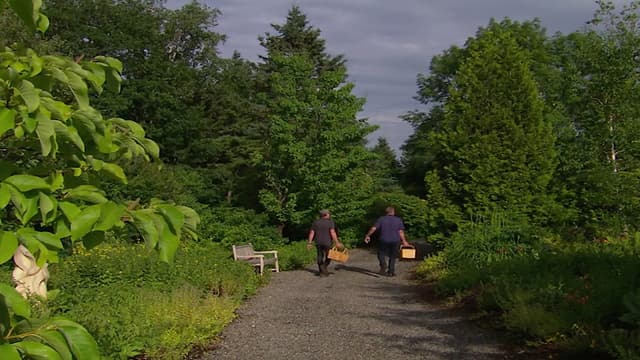 S01:E04 - McCormick Island, Saint John, New Brunswick