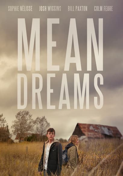 Mean Dreams