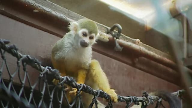 S04:E13 - Episode 13