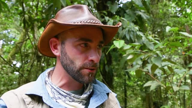 S08:E14 - Stung by an Executioner Wasp