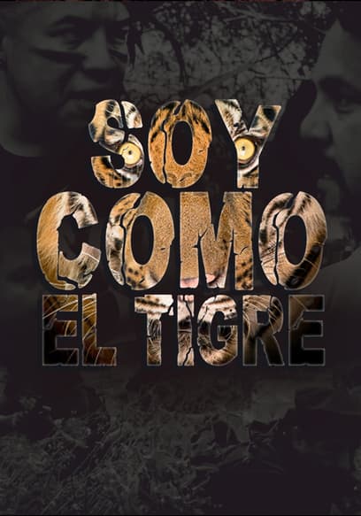 Soy Como El Tigre