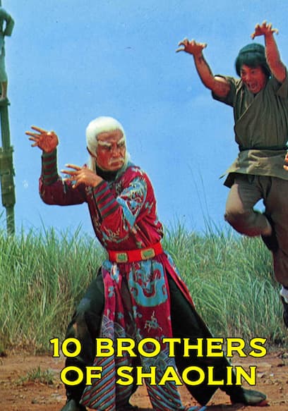 10 Brothers of Shaolin