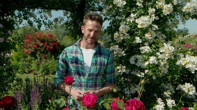 S08:E13 - Episode 13