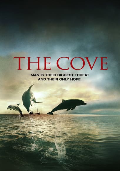 The Cove