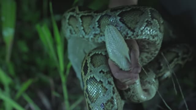 S04:E08 - Blaze of Glory