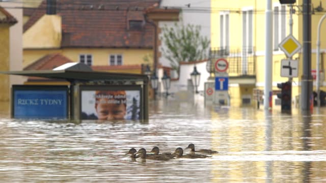 S01:E04 - Inundaciones