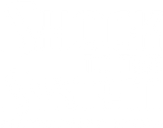 Shock to the System: A Donald Strachey Mystery