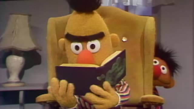 S14:E01 - Big Bird Goes to Camp Echo Rock