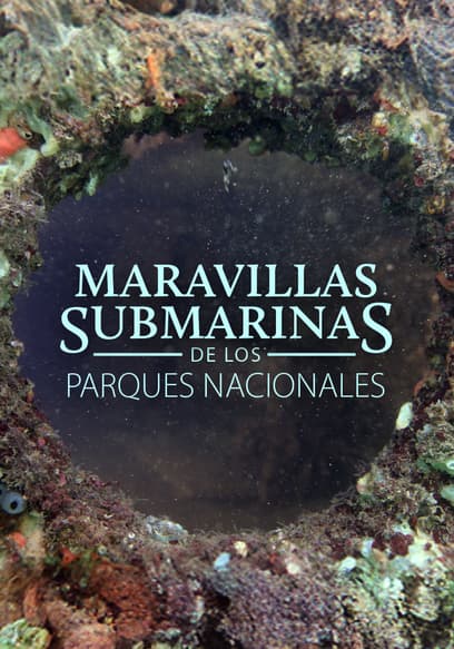 S01:E01 - Hoyo del Diablo