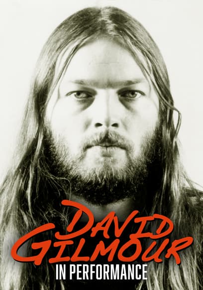 David Gilmour: In Performance
