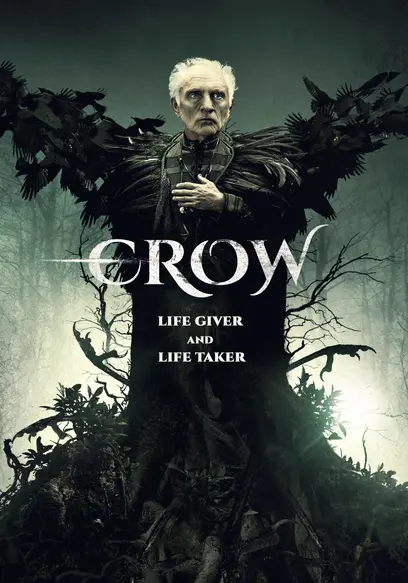 Crow poster