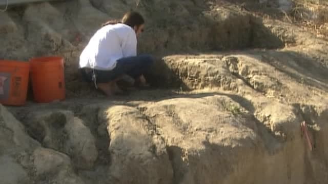 S02:E02 - Biblical Treasures: Where Are the Lost Bible Treasures?