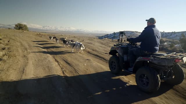 S01:E08 - School of Rock Crawling