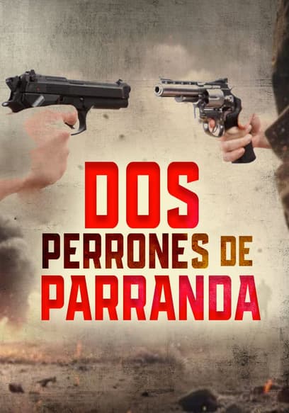 Dos perrones de parranda