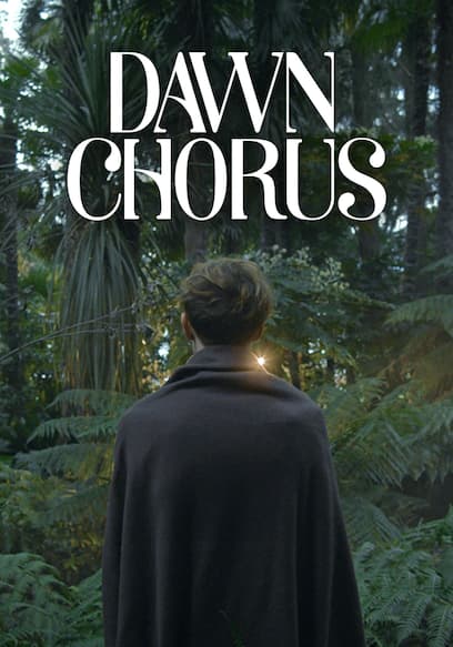 Dawn Chorus