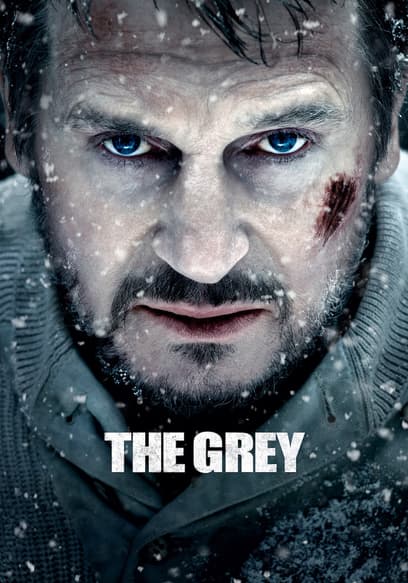 The Grey