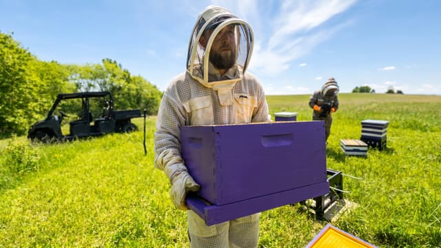 S01:E07 - Mites Are Killing Our Bees