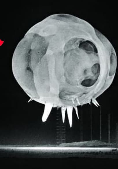 S01:E14 - The Most Dangerous Object poster