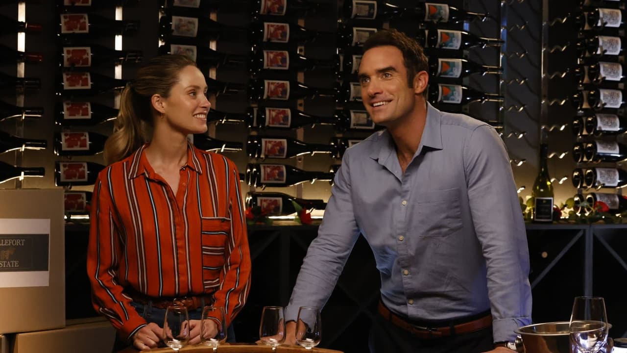 Watch One Perfect Match