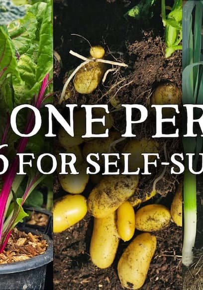 S01:E07 - My Number One Variety for Every Crop & 36 Vegetables for Self Sufficiency poster