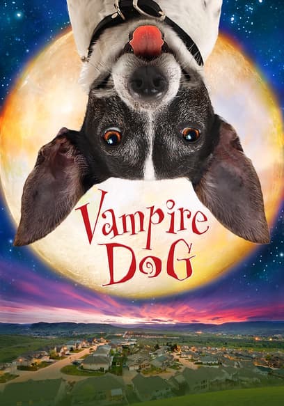 Vampire Dog