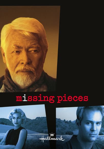 Missing Pieces