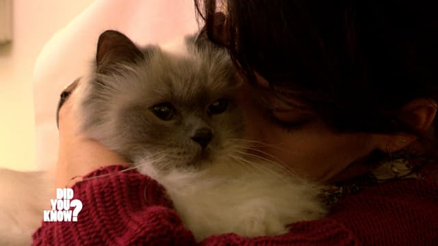 S04:E17 - Humans' Best Friends